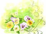 韩风时尚花纹
