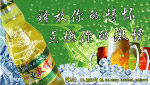 一品天柱啤酒