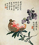 石榴