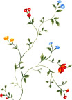 花纹