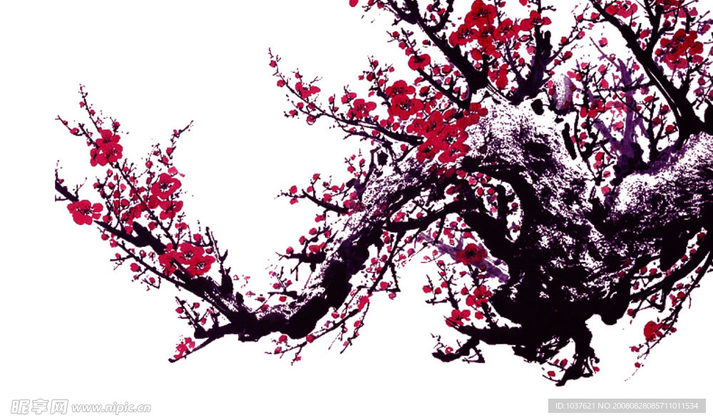 梅花系列6