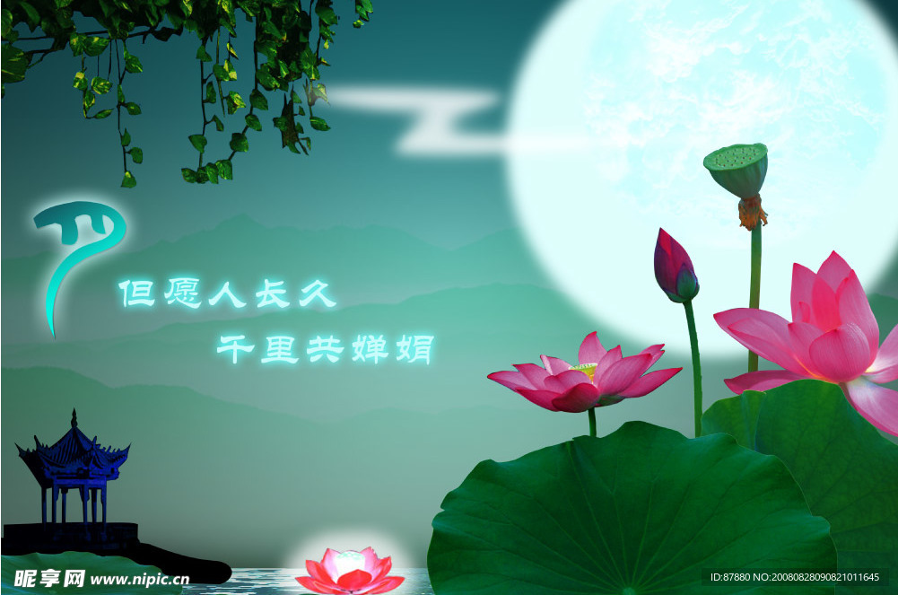 月满中秋之但愿人长久