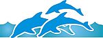 海豚