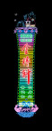 金针轩霓虹灯
