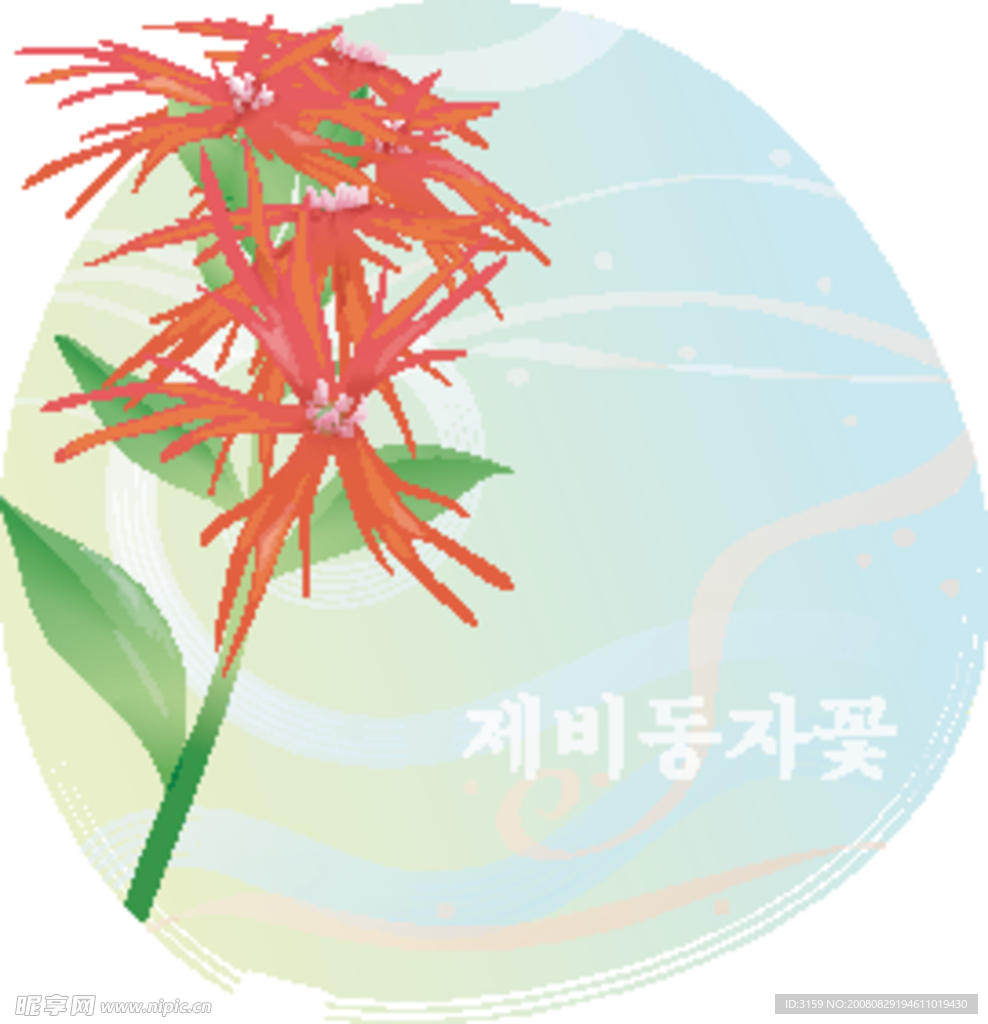 矢量花卉