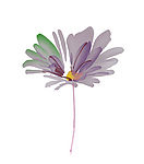 花纹
