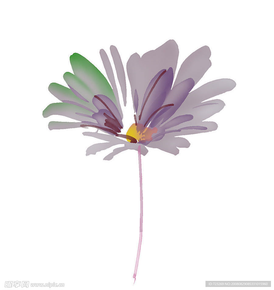 花纹