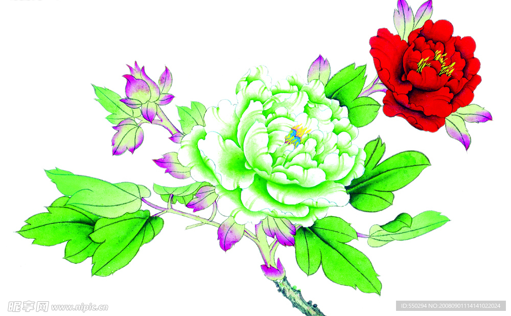 花鸟系列——牡丹花