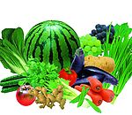 蔬菜  水果   萝卜  西瓜  西红柿   芹菜   大葱   黄瓜   茄子   葡萄   姜