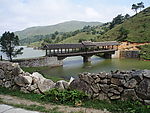 南山游