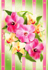 花束花