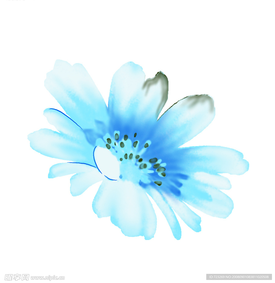 花纹