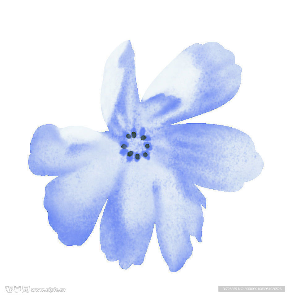 花纹