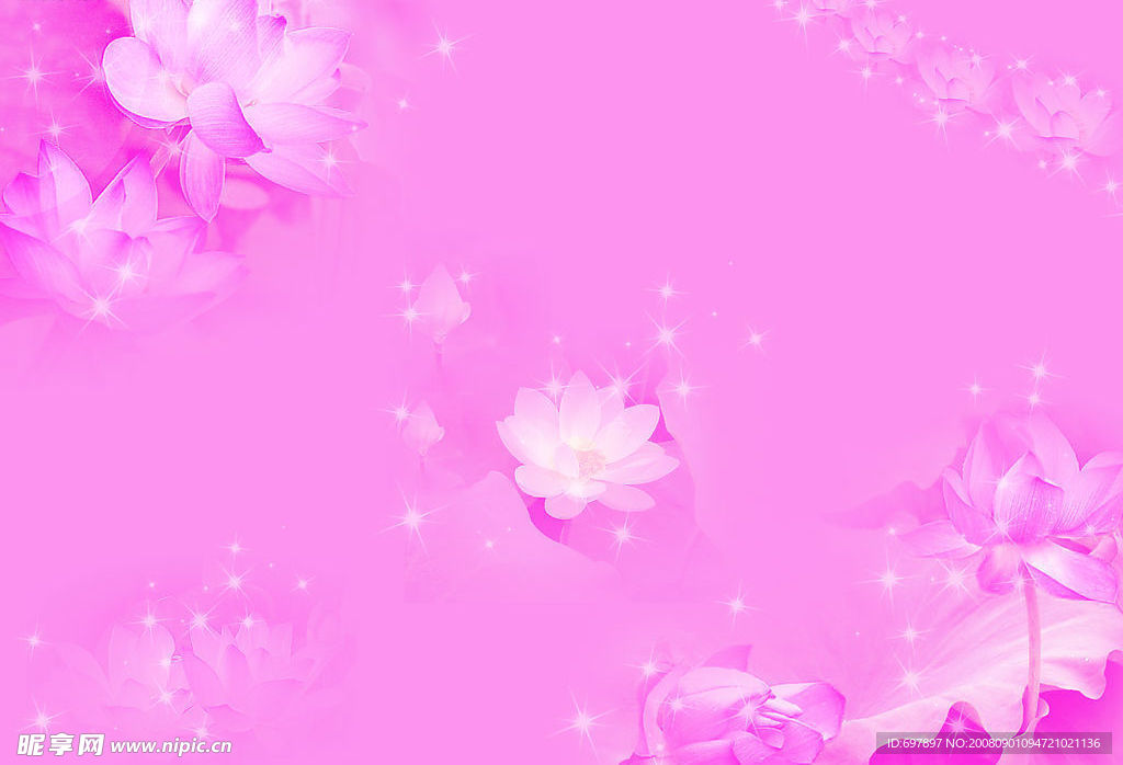 紫色莲花底图