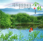 金枝玉叶
