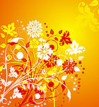花纹