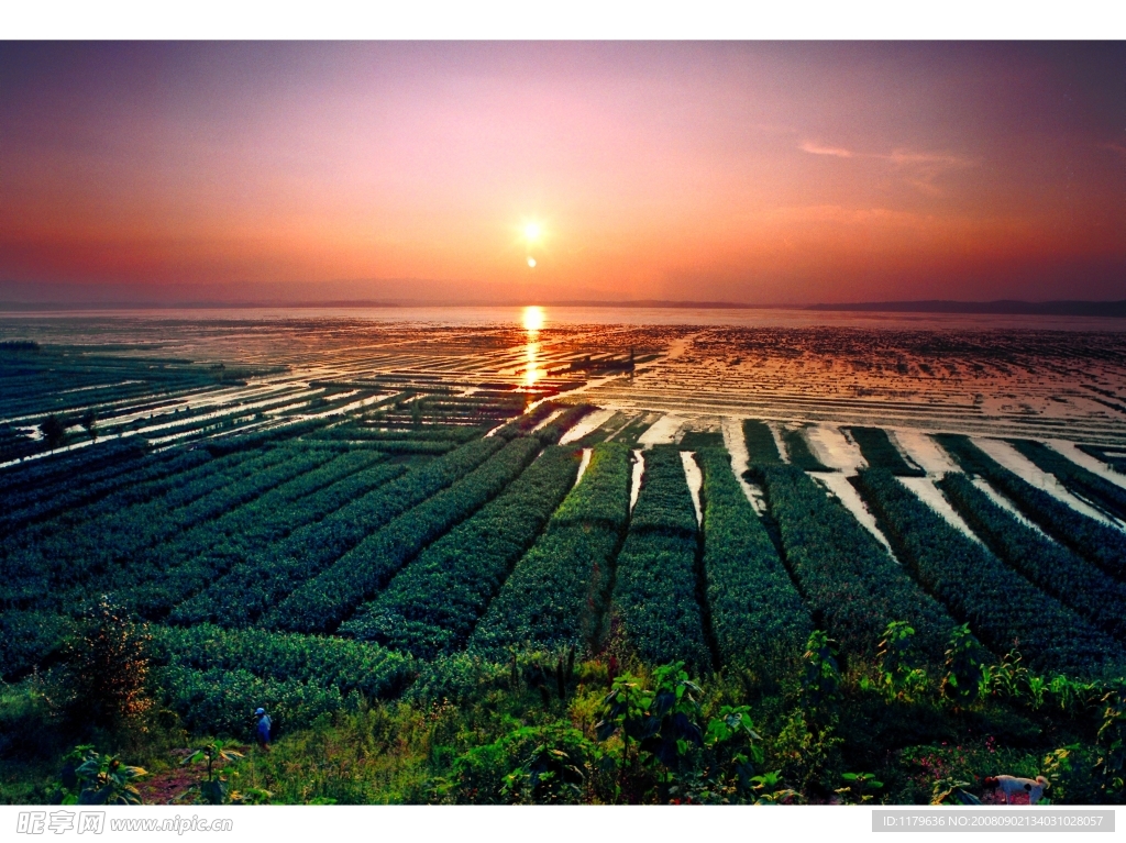 草海傍晚景色