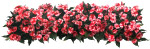 花丛－3