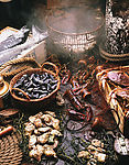 seafood海鲜