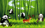 熊猫 竹林 动物