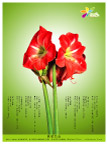 美丽花朵