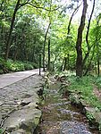 虎跑泉