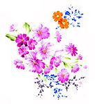 花纹