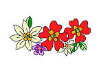 花纹