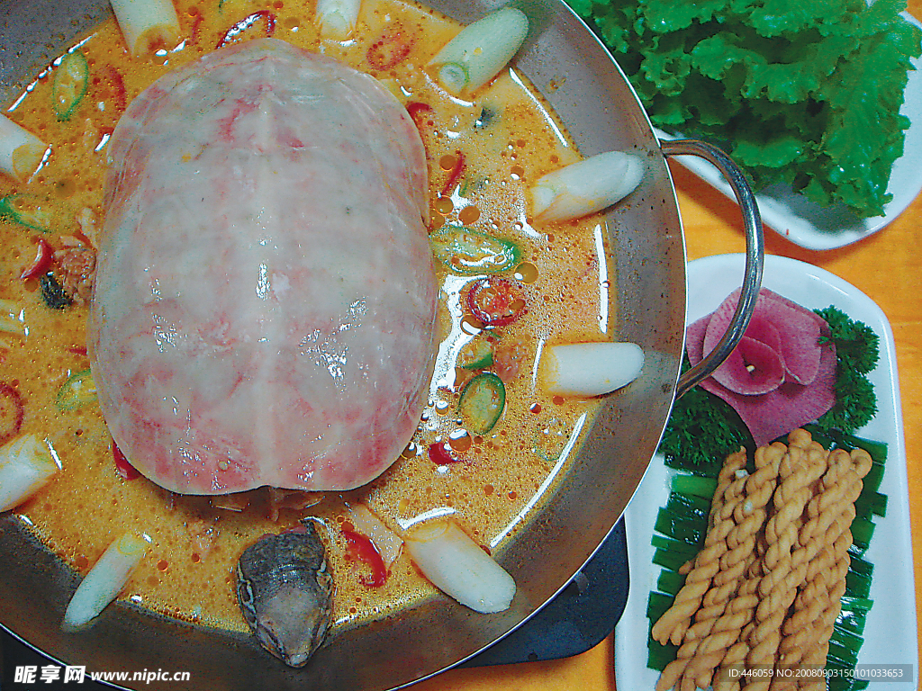 荆沙龟煲