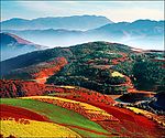 美丽的梯田