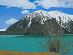 黄箫油画风景