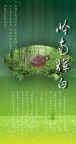 岭南辉白