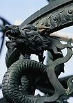 中国龙