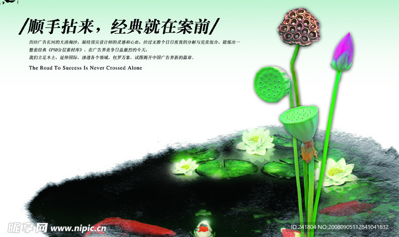 地产荷花