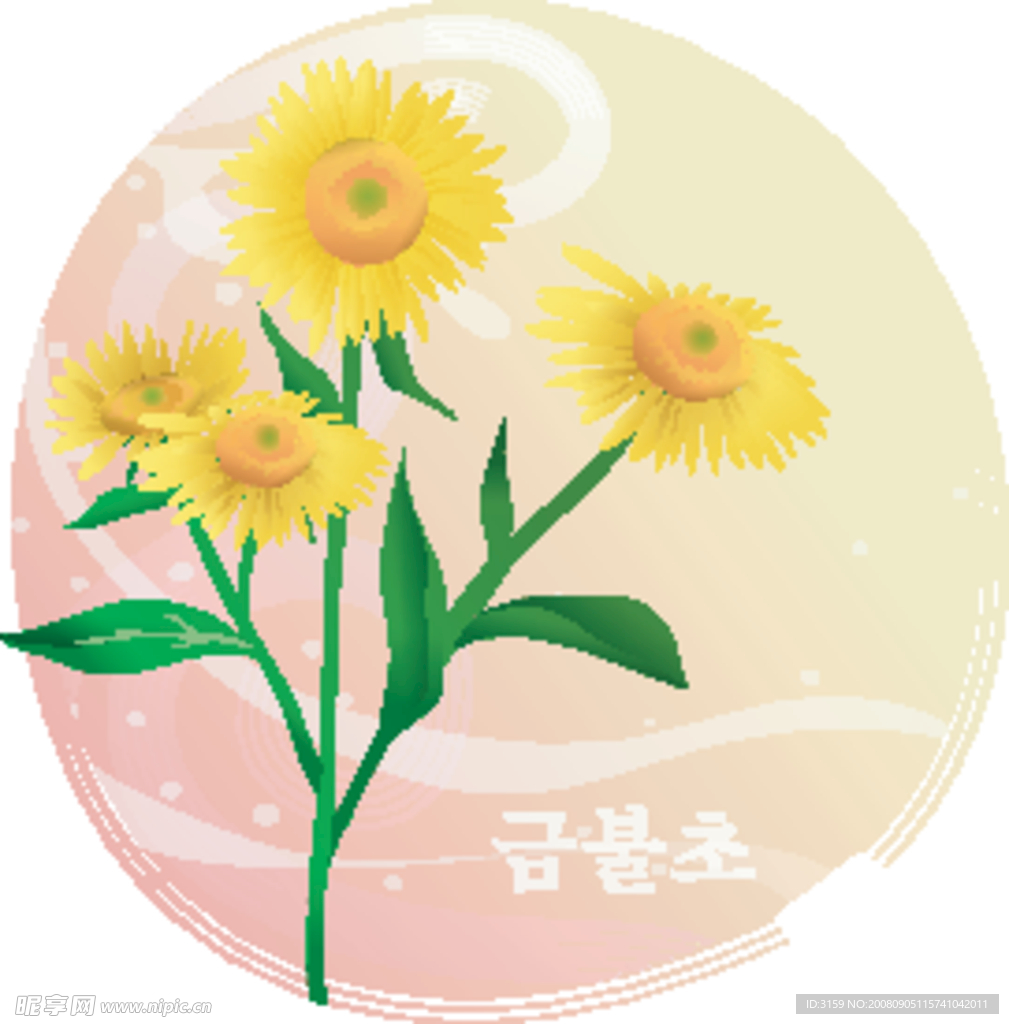 矢量花卉 向日葵