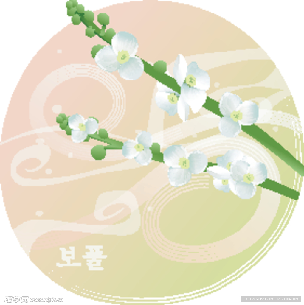 矢量花卉 白花