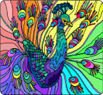 孔雀