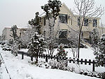 冬天雪景