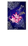 美丽花纹