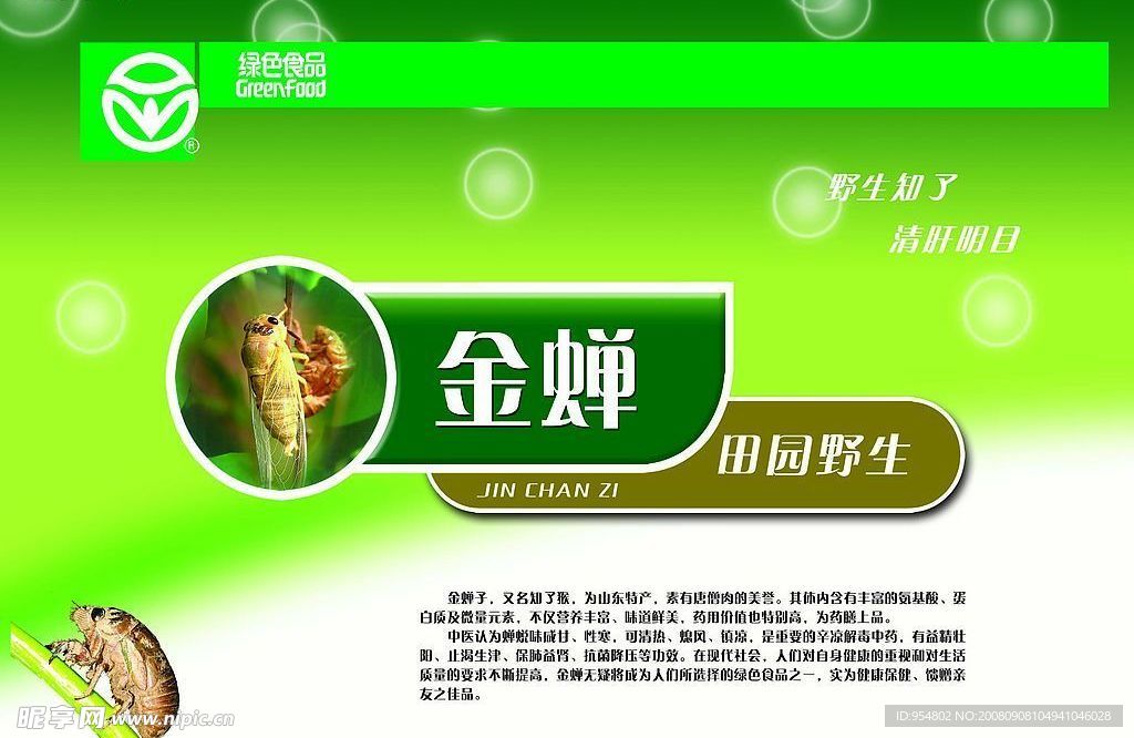 金蝉