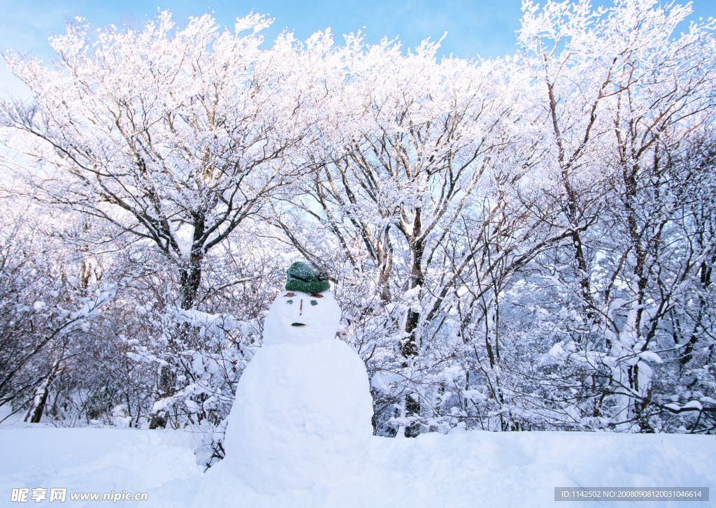 雪地