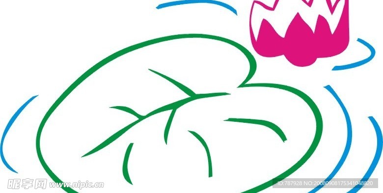 荷花