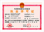 执业许可证 中国国徽 证件 花纹 印章