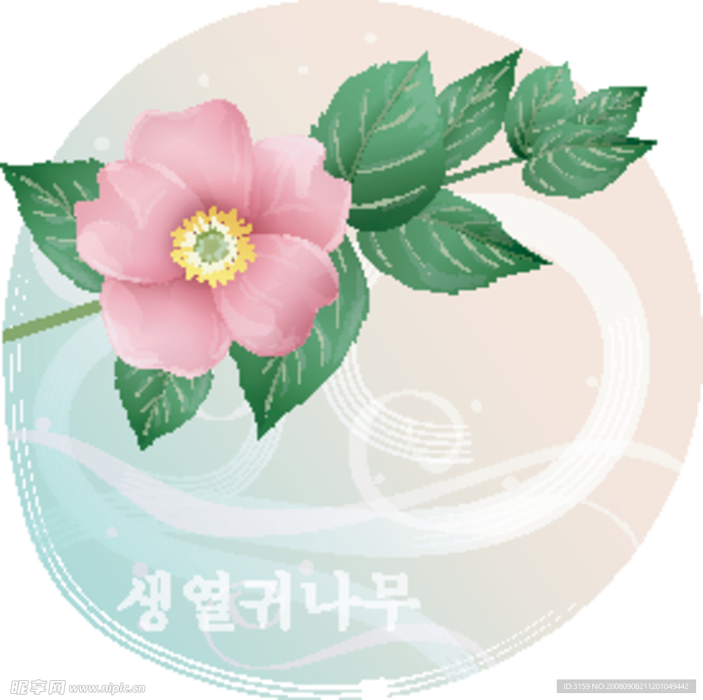 矢量花卉