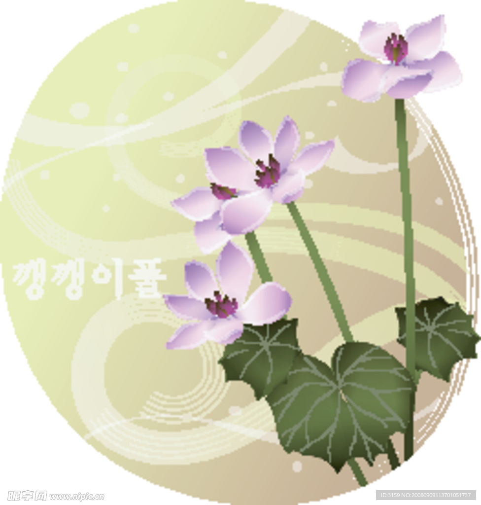 矢量花卉
