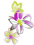 花纹