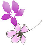 花纹