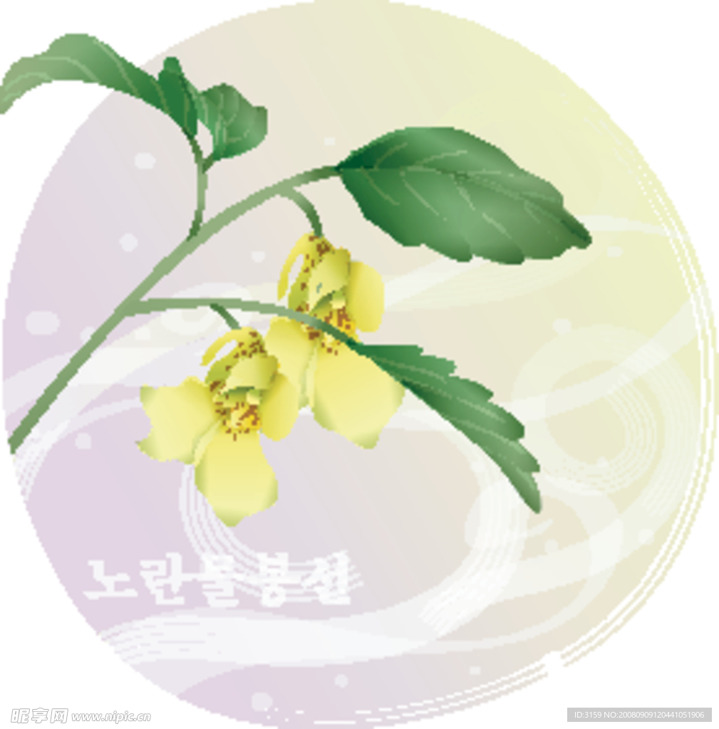 矢量花卉