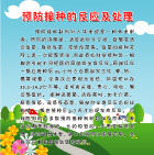 学校模板