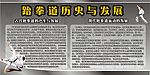 跆拳道发展与历史